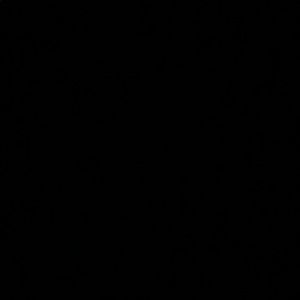 Meet your Posher, Connor